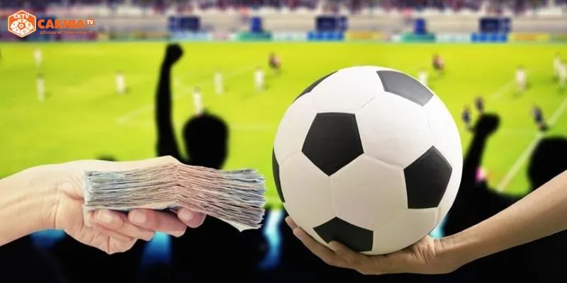 Điều Khoản & Dịch Vụ CakhiaTV – Hệ Thống Quy Định Giúp Người Dùng Trải Nghiệm An Toàn và Minh Bạch 1 quyền lợi khách hàng về điều khoản